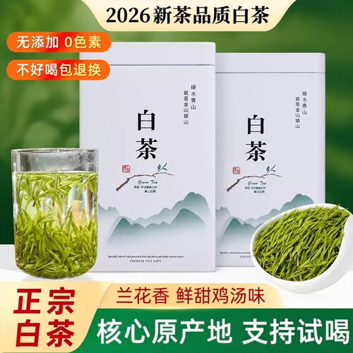 正宗白茶安吉新茶口粮茶礼盒装散装清香高山绿茶茶叶自己喝日常喝