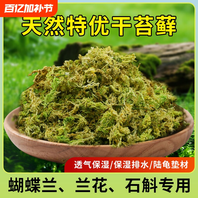 水苔蝴蝶兰专用水苔蝴蝶兰专用营养土青苔干苔藓兰花专用植料爬宠