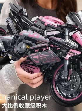 宝马双R摩托车M1000RR积木机械组成年高难度益智拼装模型玩具男孩