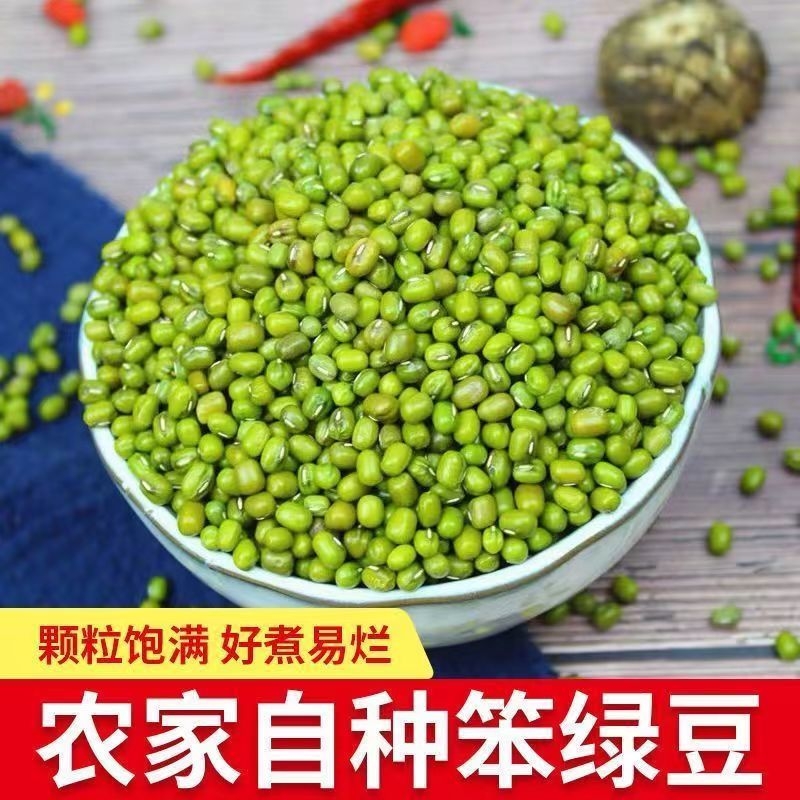 绿豆新鲜农家新货大颗粒优质绿豆粥绿豆糕原料包邮豆子发芽当季