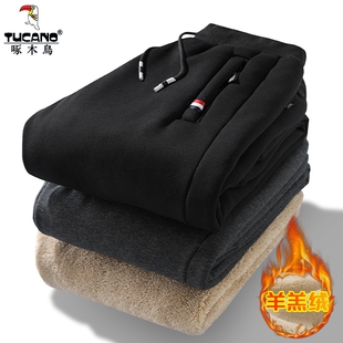 棉裤 男士 加绒卫裤 啄木鸟羊羔绒裤 男裤 冬季 直筒休闲运动长裤 子男款