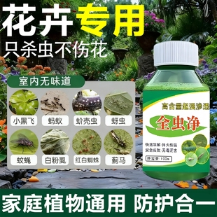 杀虫花卉植物通用月季 花蚜虫蚧壳虫红蜘蛛杀虫专用白色小飞虫药Y