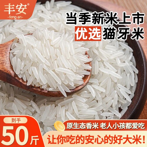 南方大米50斤新米长粒香米