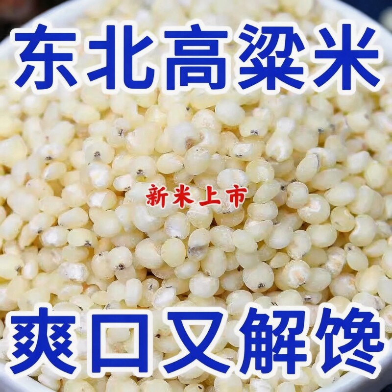 2026年白高粱米新米农家东北特产粗粮米去皮酿酒杂粮五谷老品种