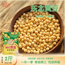 天降！东北黄豆非转基因当季新豆500克*2袋