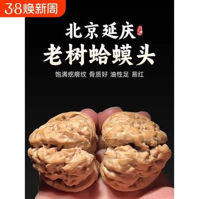 原产一代延庆蛤蟆头文玩桃核金蟾狮子头闷尖有腿有眼开背收藏盘玩