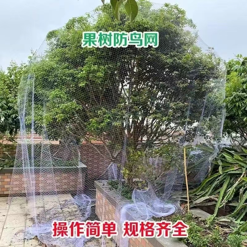 果树防鸟网罩樱桃网嘉宝果用网网纱网防护罩葡萄防虫网菜园网果园