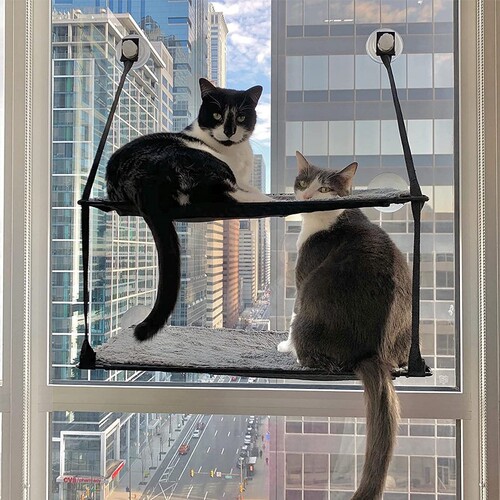 美国KH窗台猫挂床大阳台窗户吊床悬挂猫窝猫咪吸盘猫架挂窝猫吊床