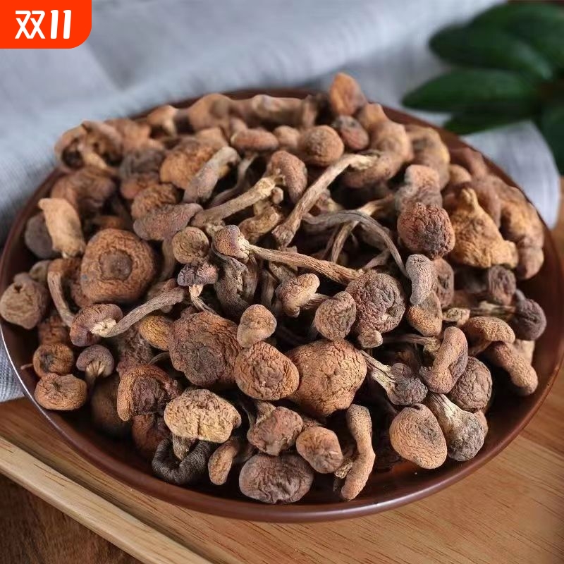 东北纯野生天然榛蘑干货长白山榛蘑小鸡炖蘑菇农家山货菌菇类干货