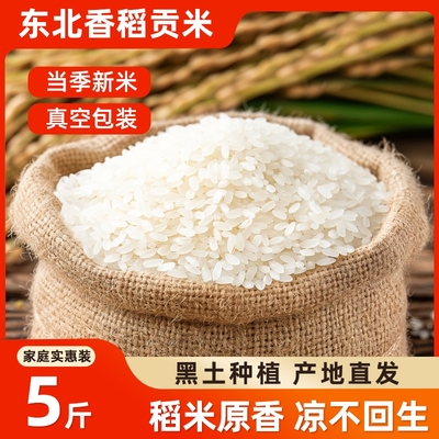 邹有才东北香稻贡米5斤