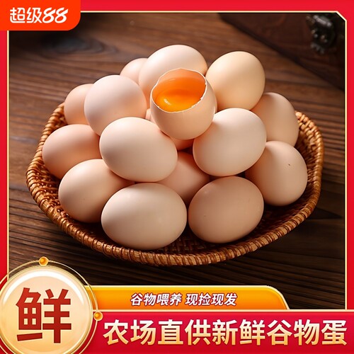 家常鲜鸡蛋谷饲喂养初生蛋