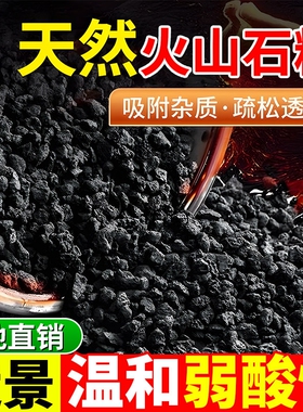 微酸矿物岩颗粒土养花专用小石子多肉兰花铺面黑色火山石底砂酸性