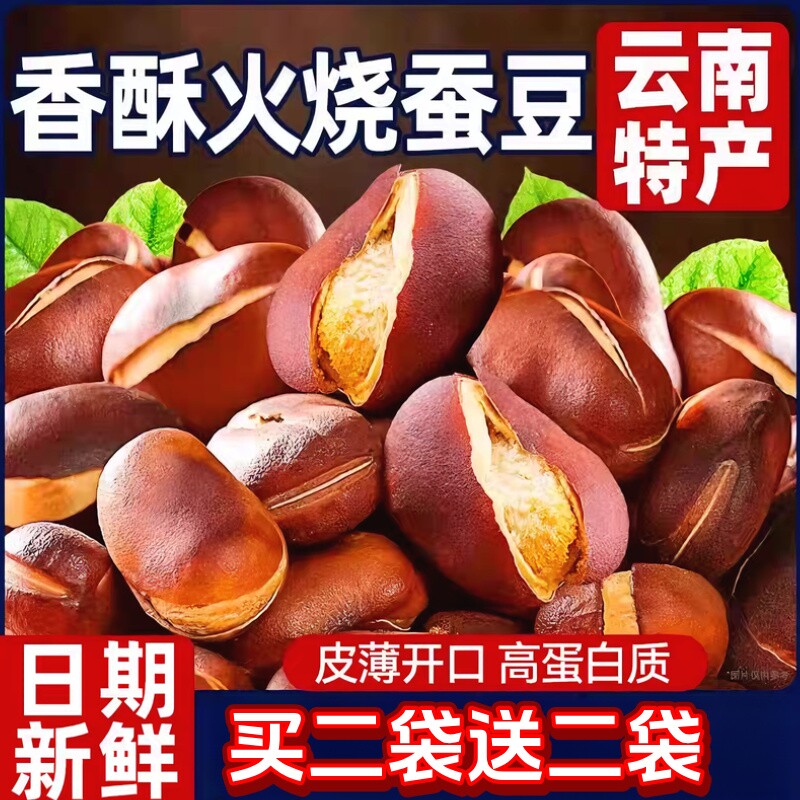正宗云南火烧蚕豆原味土特产农家胡豆无油炒蚕豆零食新鲜柴火奶油
