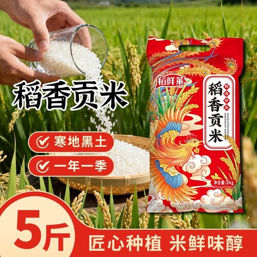 东北大米珍珠米5kg10斤装当季新米20斤稻香米50斤家用优质香糯