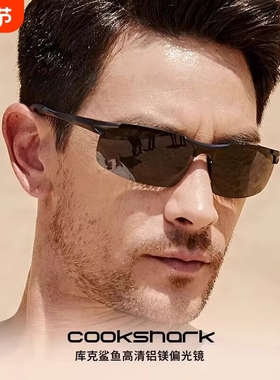 2025开车铝镁合金驾驶偏光太阳眼镜男新款变色飞行员墨镜男高级感