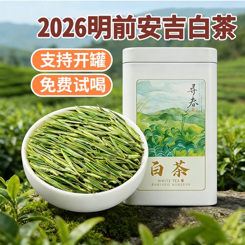 正宗安吉明前白茶叶2026新茶