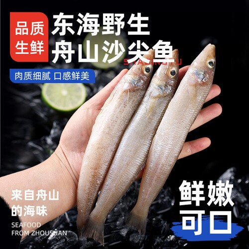 沙尖鱼新鲜冷冻批发尖梭鱼深海捕鱼非鲜活速冻舟山沙丁鱼旗舰店