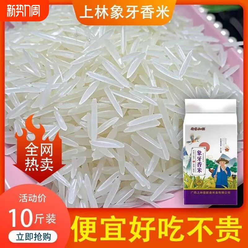 正宗象牙香米10斤长粒香猫牙米5kg香米煲仔饭超长粒晚稻大米新米