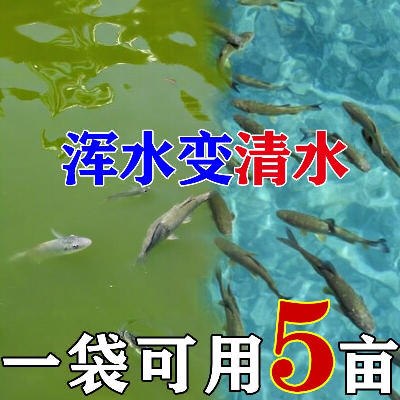鱼塘鱼池水立水净池塘水质净化去臭净水王不伤鱼虾蟹养殖专用净爽