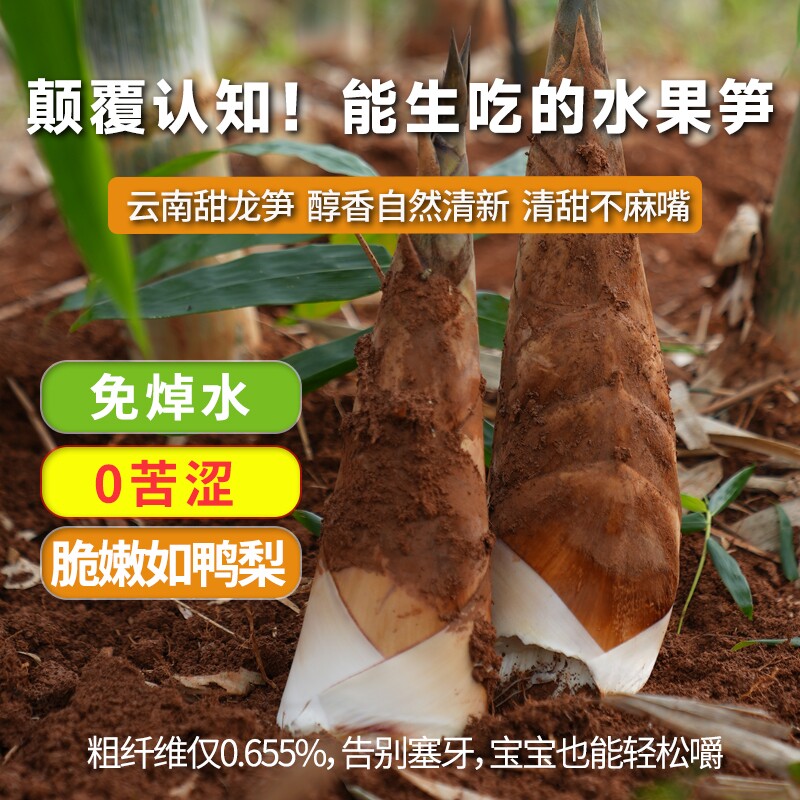 云南甜龙笋新鲜蔬菜脆甜竹笋现挖图片