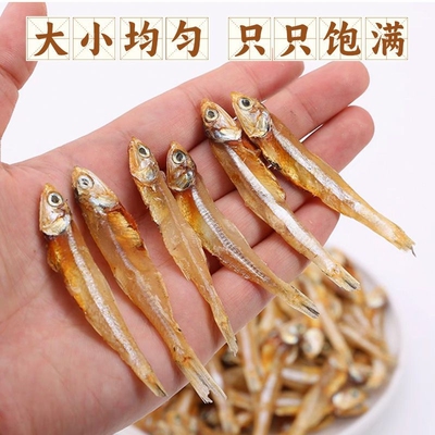 小鱼干500g干货特产咸银鱼公鱼风干海燕鱼晒干鲜盐淡晒美味深海