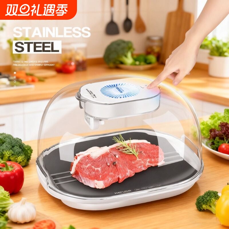 保鲜解冻器家用德国快速食物解冻机商用食品肉化冻盘牛排恒温