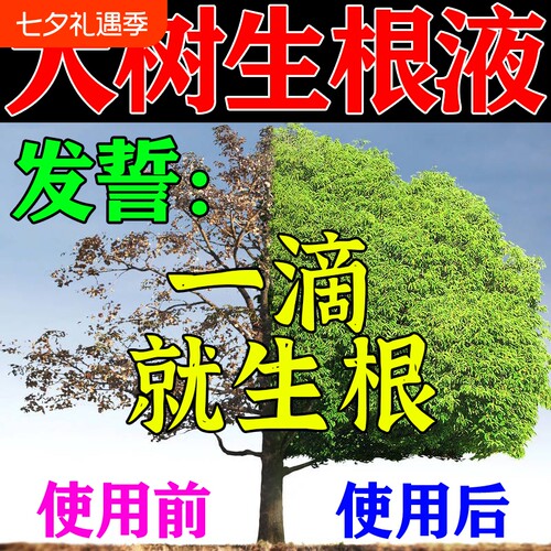 大树复活液生根壮苗剂