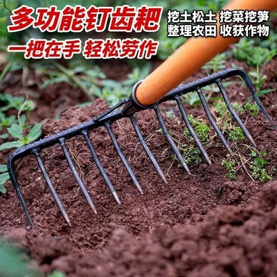 铁耙子耙子农用工具九齿钉耙新款松土翻土钉耙老式搂草树叶钢耙子