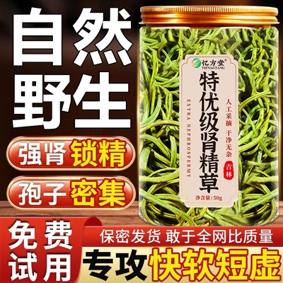 肾精草长白山野生小叶黄金草嗷嗷叫肾精草茶泡水喝正品官方旗舰店