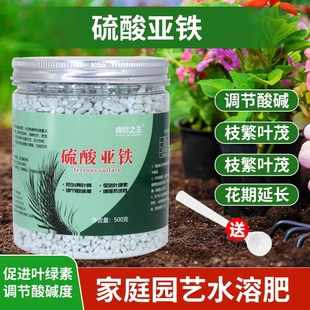 硫酸亚铁花肥料喜酸栀子花茶花杜鹃花桂花水溶肥家用肥营养2号