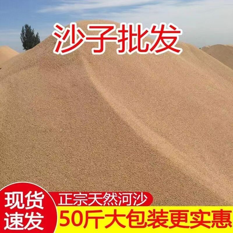 50-100斤工地河沙种植养花沙多肉装修建筑沙子底沙细沙天然河沙图片