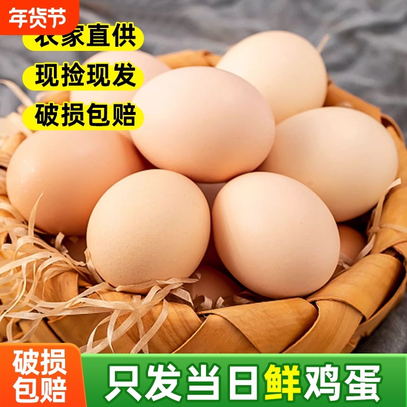 甘肃新鲜土鸡蛋60枚正宗农家散养农村乌柴笨草生鲜鸡蛋 50g/枚,水产肉类/新鲜蔬果/熟食,鸡蛋,淘宝优惠券,粉丝福利购,淘宝优惠卷