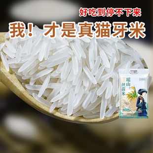 瑶山正宗猫牙米长粒香大米超长新米农家丝苗米煲仔饭专用梯田原粮