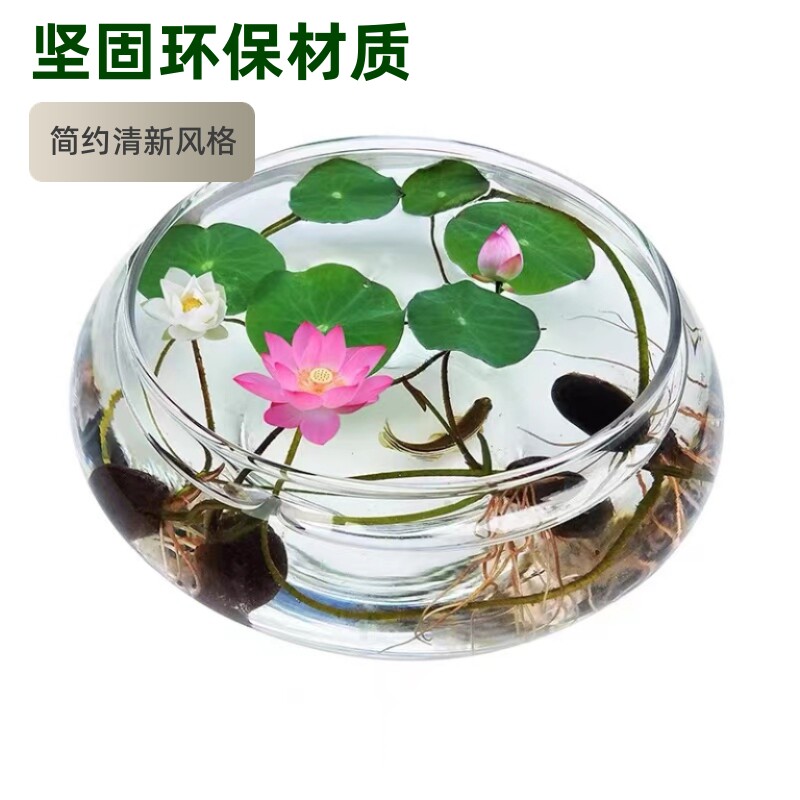 水培玻璃花瓶透明水仙盆碗莲盆睡莲花盆乌龟鱼缸水养植物器皿桌面