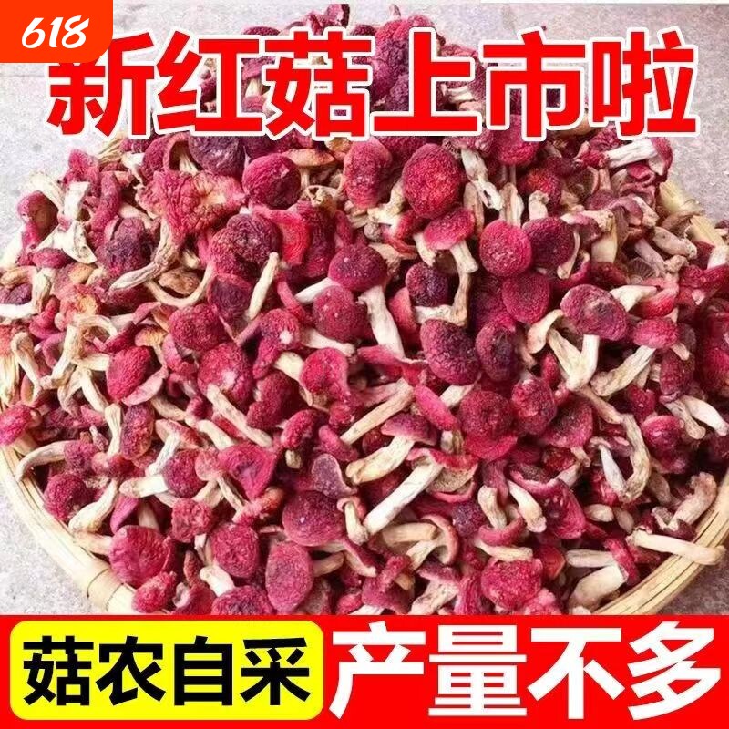 新货野生红菇干货250g半斤红蘑菇菌蘑菇红姑非香菇滋补红香菌