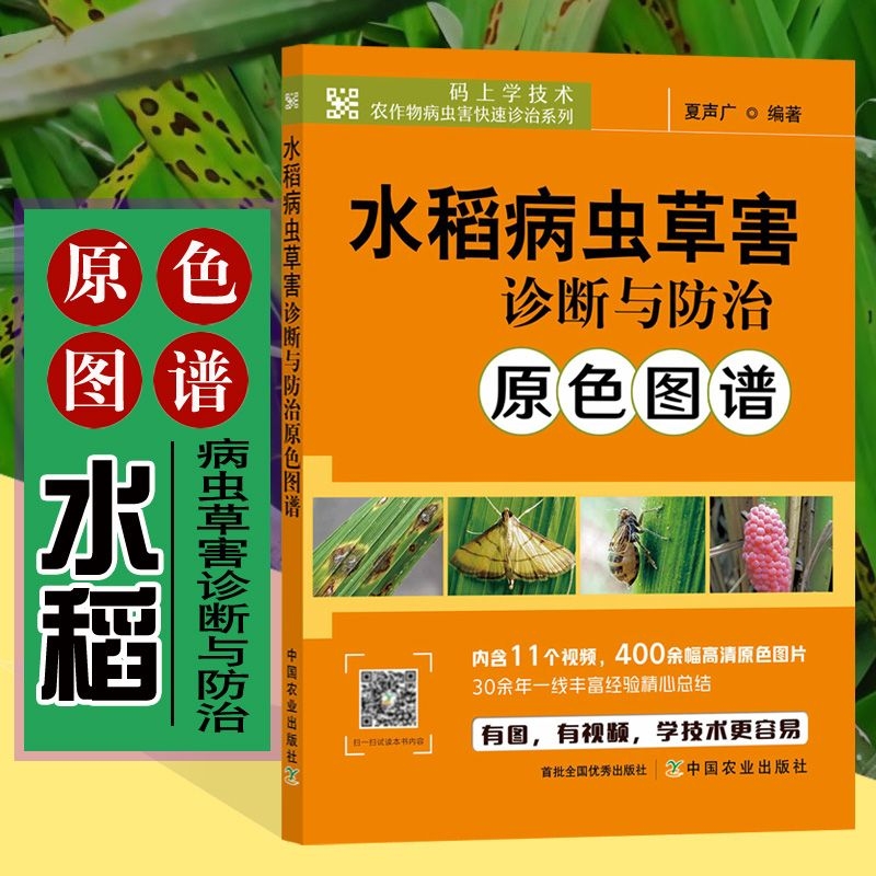 水稻病虫草害诊断与防治原色图谱 水稻栽培种植技术书籍水稻病虫害防控稻麦病虫害防控技术稻田农作物病虫害诊治技术书籍