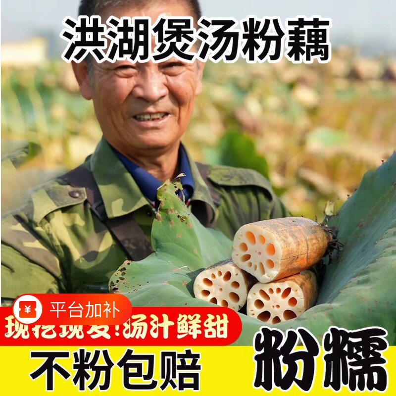 正宗洪湖粉藕湖北特产莲藕煲汤炖汤新鲜糖藕糯米藕九孔莲藕红现挖
