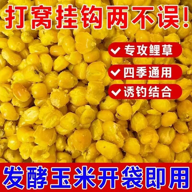 发酵玉米粒饵料玉米钓鱼专用打窝料鲫鱼鲤鱼草鱼青鱼重窝钓饵溪流图片