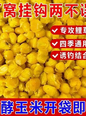 发酵玉米粒饵料玉米钓鱼专用打窝料鲫鱼鲤鱼草鱼青鱼重窝钓饵溪流