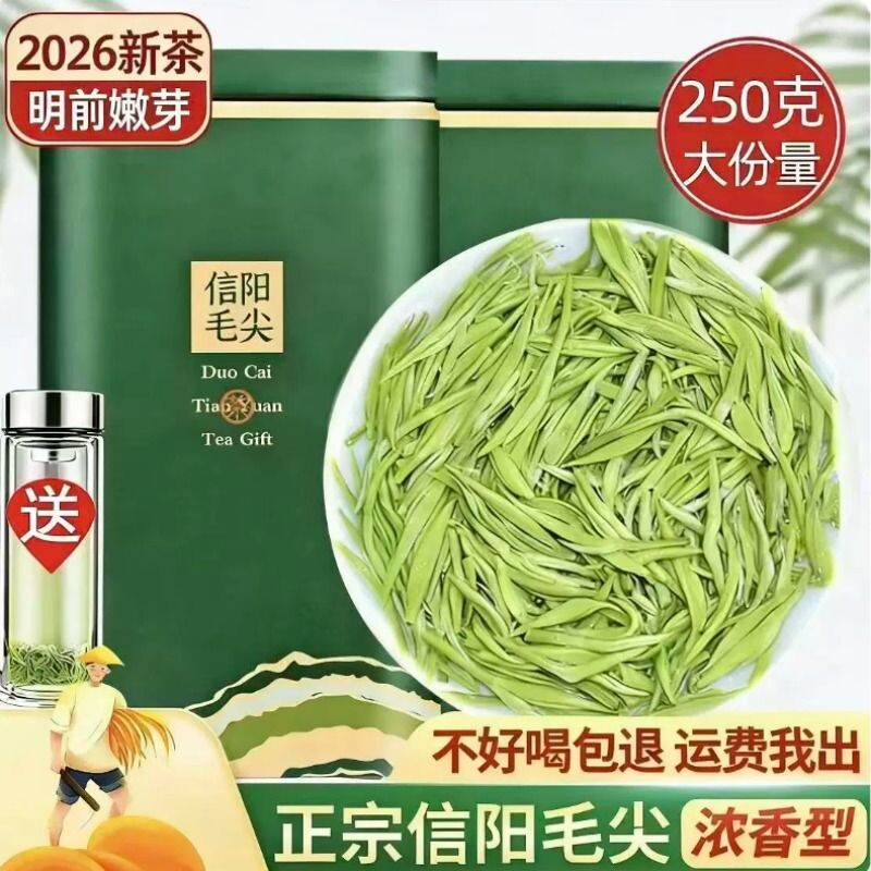 信阳毛尖2026新茶叶雨前特级嫩芽浓香型绿茶散装一斤礼盒罐装明前