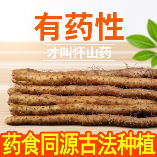 铁棍山药铁杆淮山怀山药新鲜5斤特产小白嘴山药宝宝辅食自提纯正