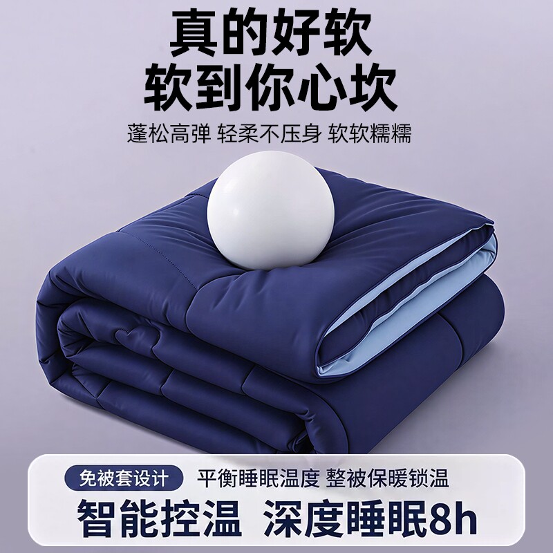 A类深睡控温Pro5加厚春秋冬被
