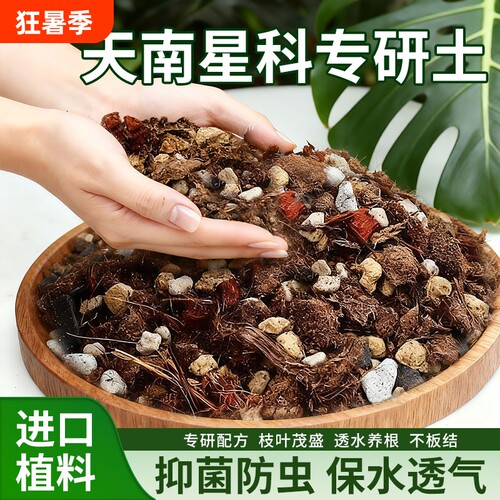 天南星科热植专用龟背竹营养土