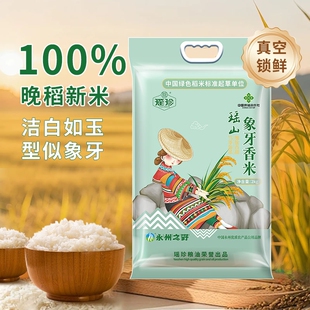 瑶珍象牙香米2025新米长粒香猫牙香大米米茉莉香10斤瑶山煲仔饭