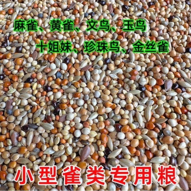 七彩文鸟芙蓉鸟金丝雀鸟珍珠鸟玉鸟食混合鸟粮饲料苏子亚麻籽新鲜