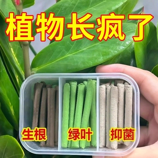植物营养棒缓释肥料盆栽绿植花卉家用养花通用型营养液片氮磷钾