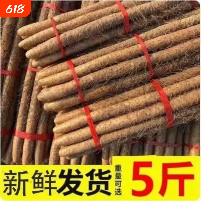 河北新鲜铁杆淮山药铁棍山药现挖小白嘴山药老少皆宜宝宝辅食