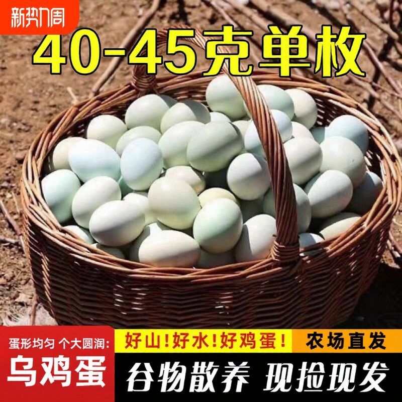 新鲜土鸡蛋40枚山林散养谷物营养美味孕妇儿童绿壳乌鸡蛋农家直发