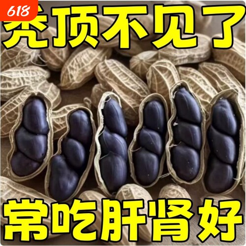 富硒黑花生云南特产官方旗舰店带壳生的农家新货黑皮花生晒干健康