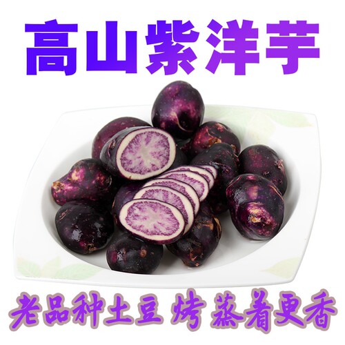 云南紫皮贵州高山老品种乌洋芋土豆种马铃薯种植洋芋紫土豆油炸